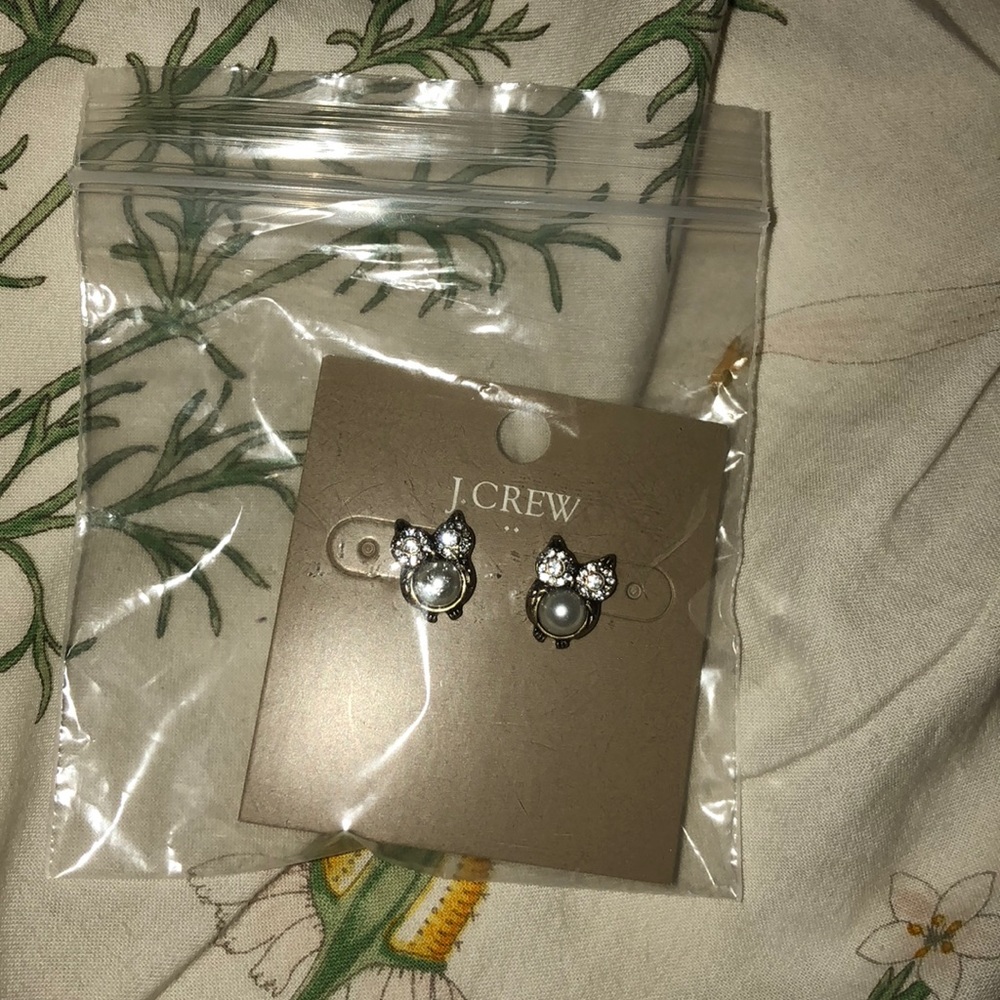 J. Crew owl earrings